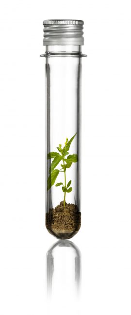 shutterstock_46055113 fertilizer